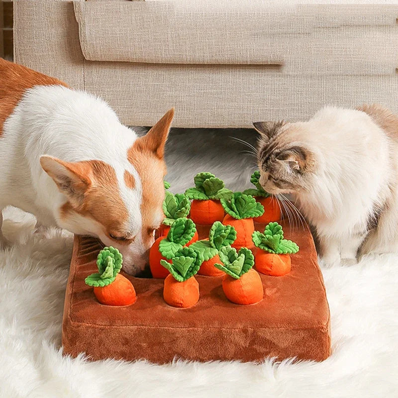 Snuffle Search Mat
