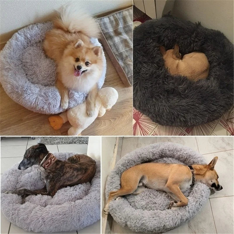 Cozy Calm Donut Bed