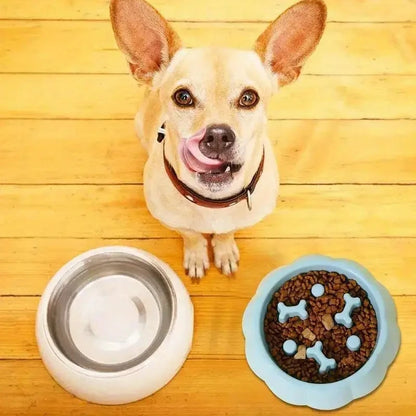 Slow Feeder Puzzle Bowl