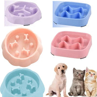 Slow Feeder Puzzle Bowl