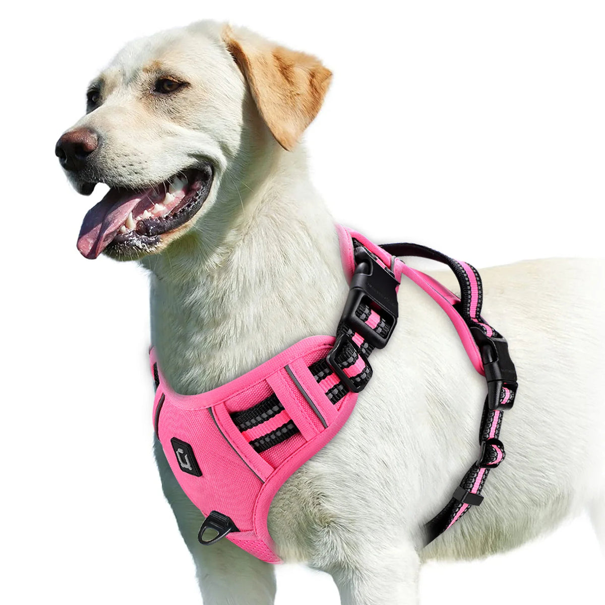 No-Pull Comfort Harness