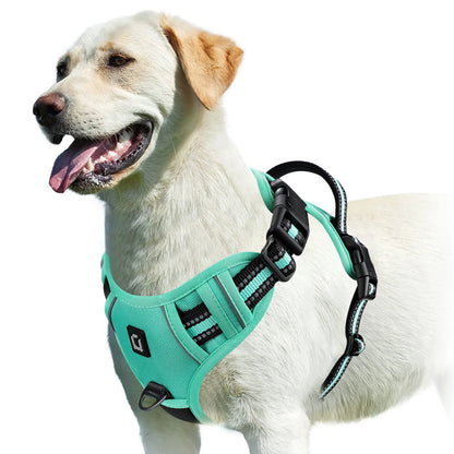 No-Pull Comfort Harness