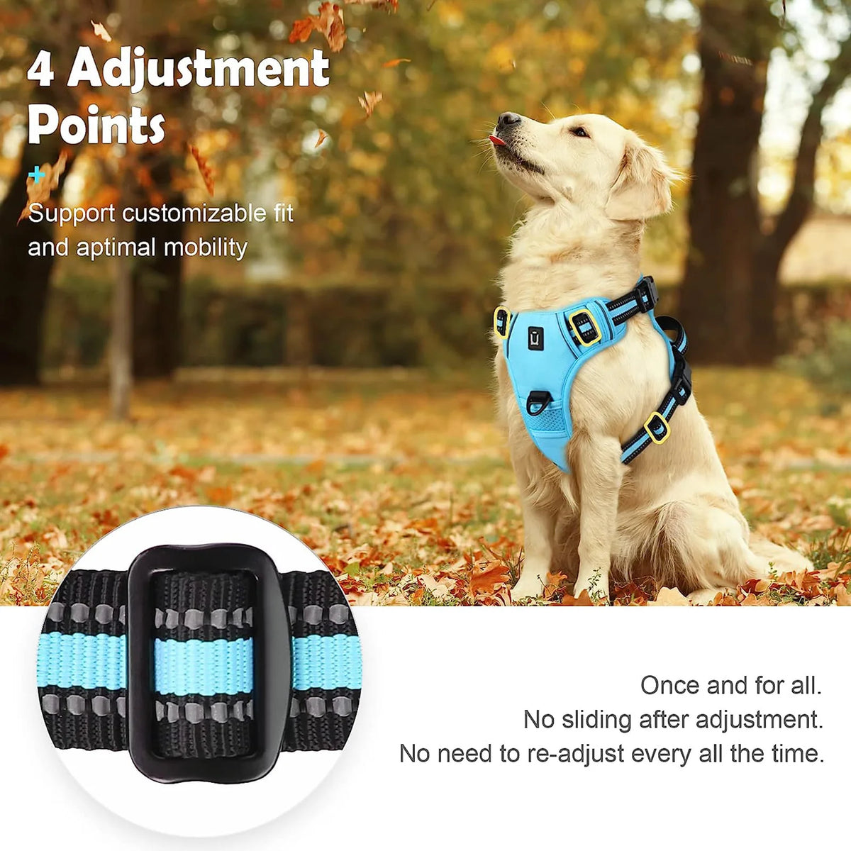 No-Pull Comfort Harness