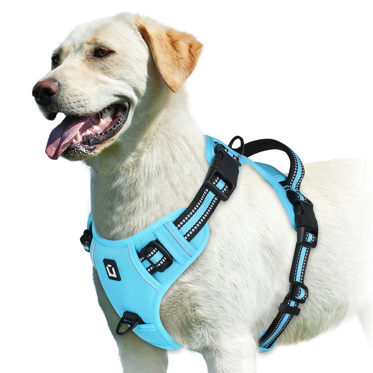 No-Pull Comfort Harness