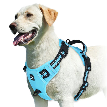 No-Pull Comfort Harness