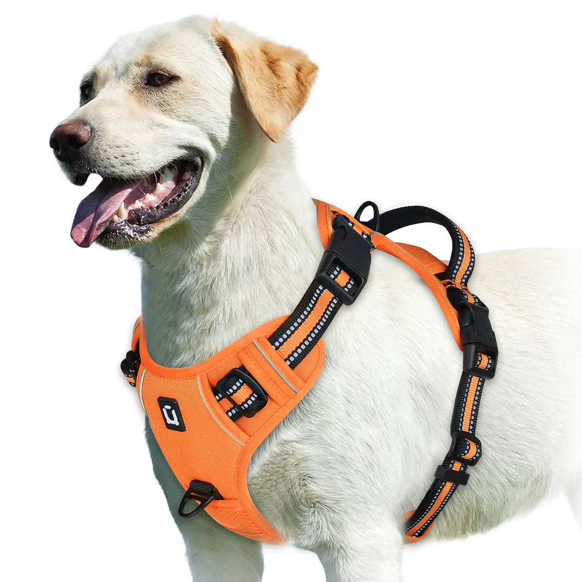 No-Pull Comfort Harness