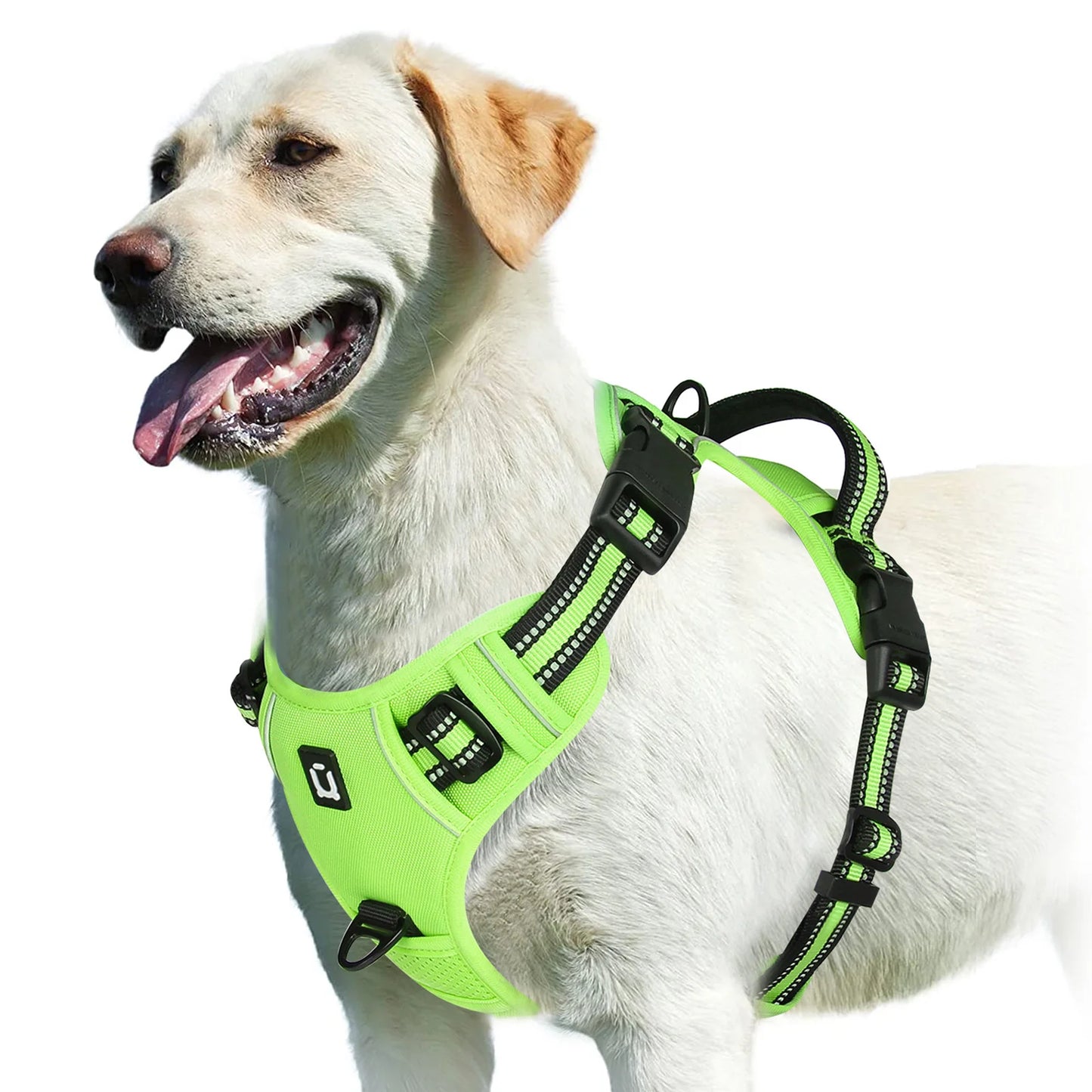 No-Pull Comfort Harness