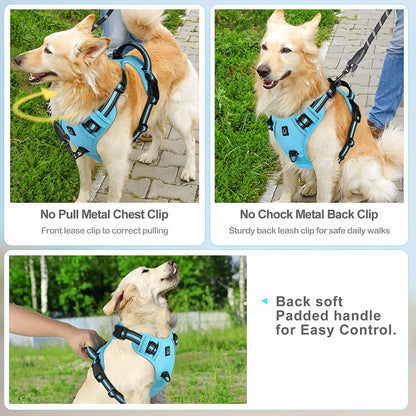 No-Pull Comfort Harness
