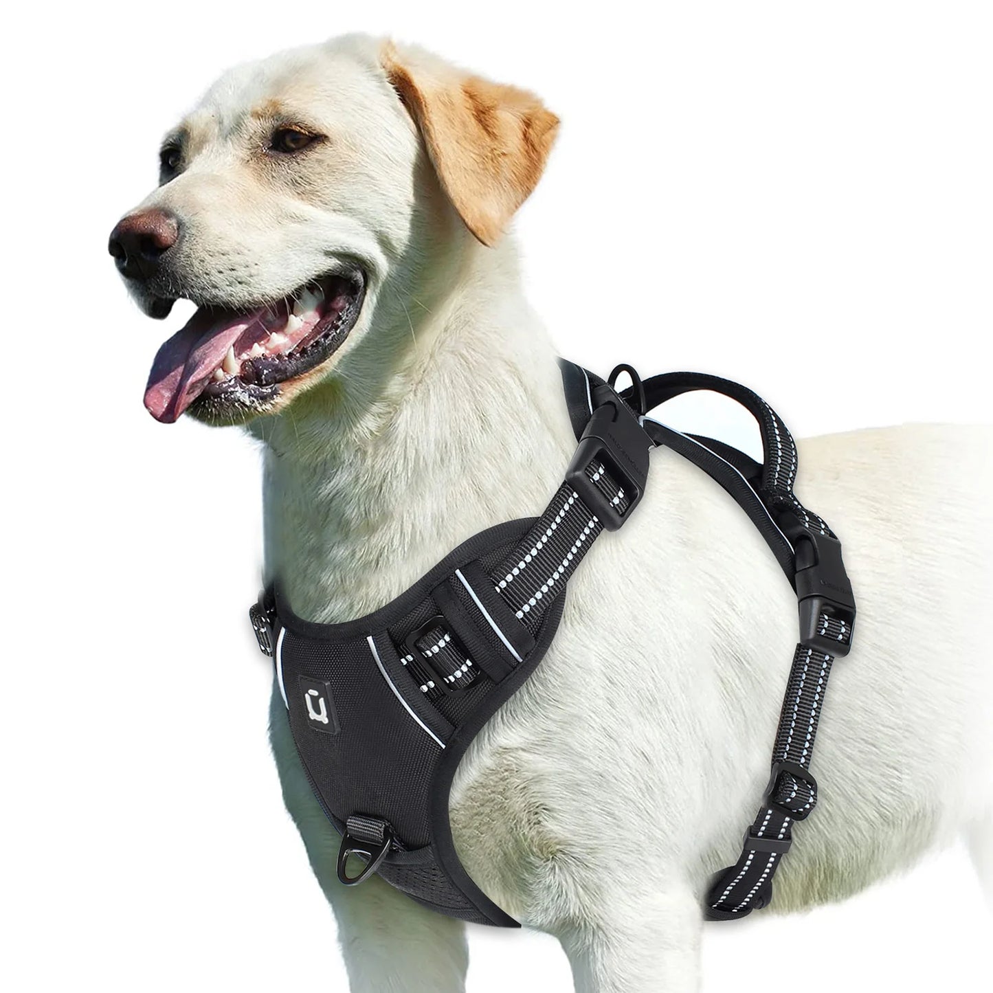 No-Pull Comfort Harness