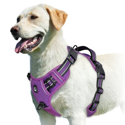 No-Pull Comfort Harness