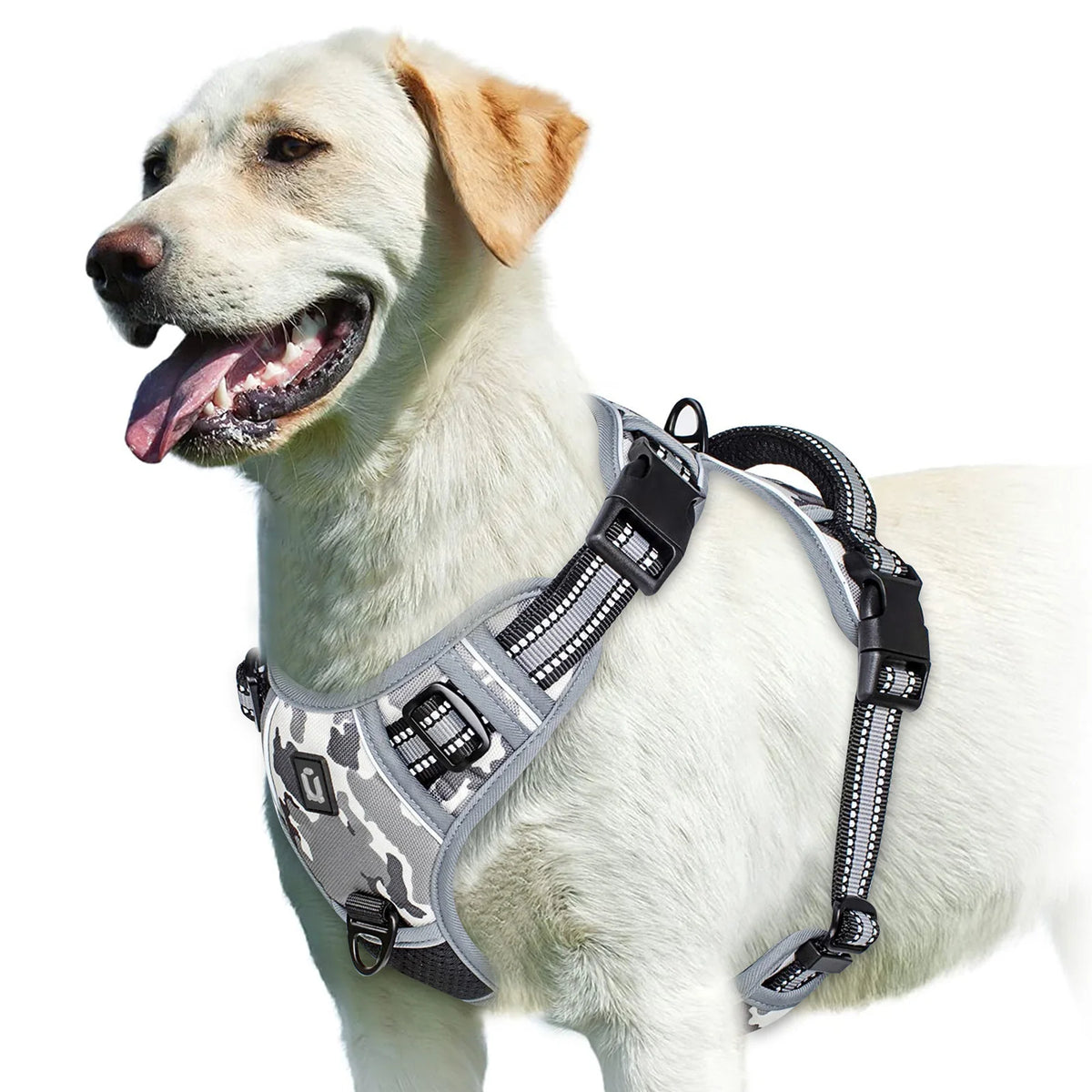 No-Pull Comfort Harness